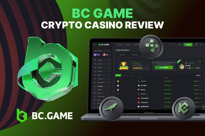 Everything You Need to Know About BC.Game Online -340241213 Everything You Need to Know About BC.Game Online -340241213